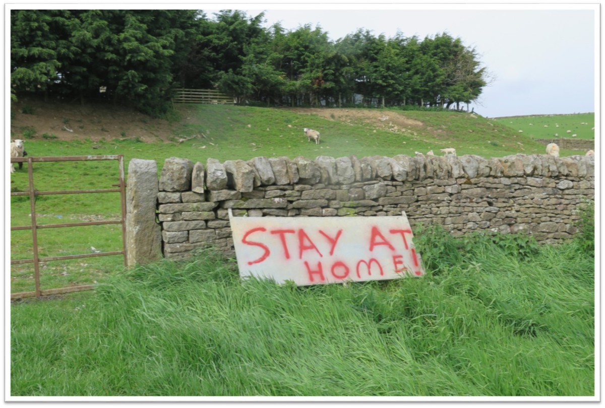 7 Stay at Home  - Mike Ward